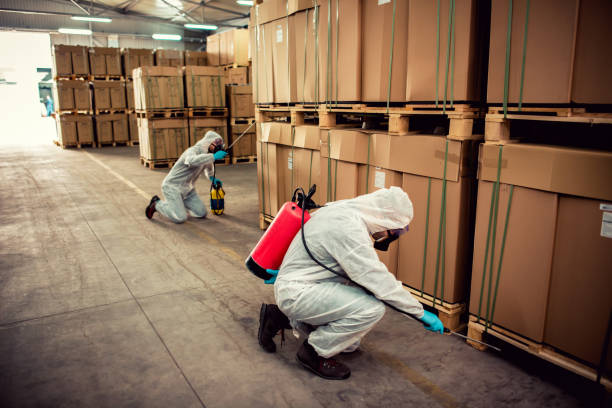 Best Best Pest Control Companies  in Bellmead, TX